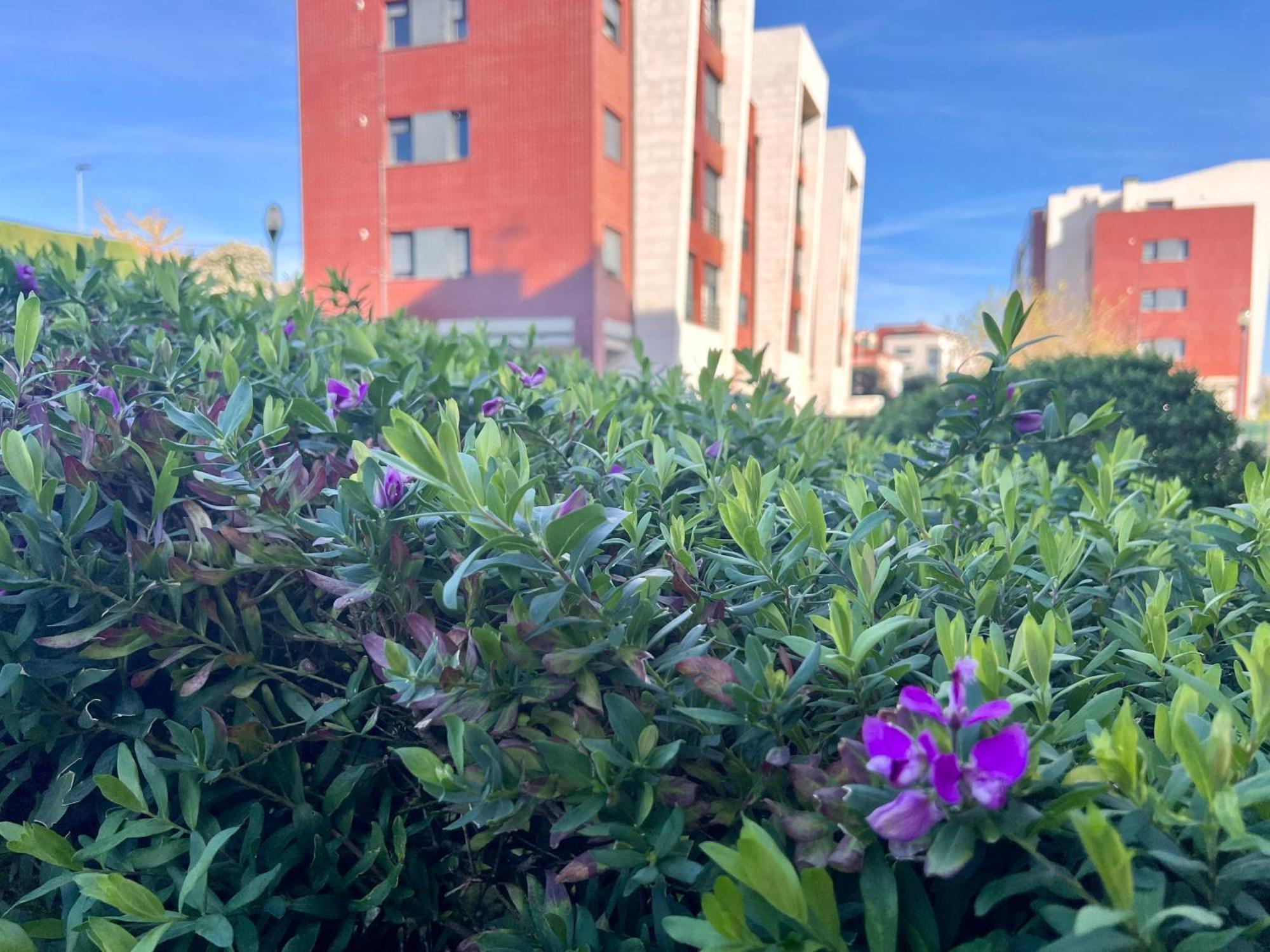 Apartamento Olmeca Santander Exterior foto